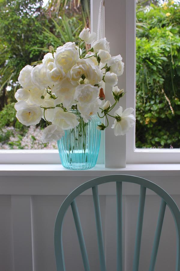 Browns Boutique Bed&Breakfast Whanganui Extérieur photo