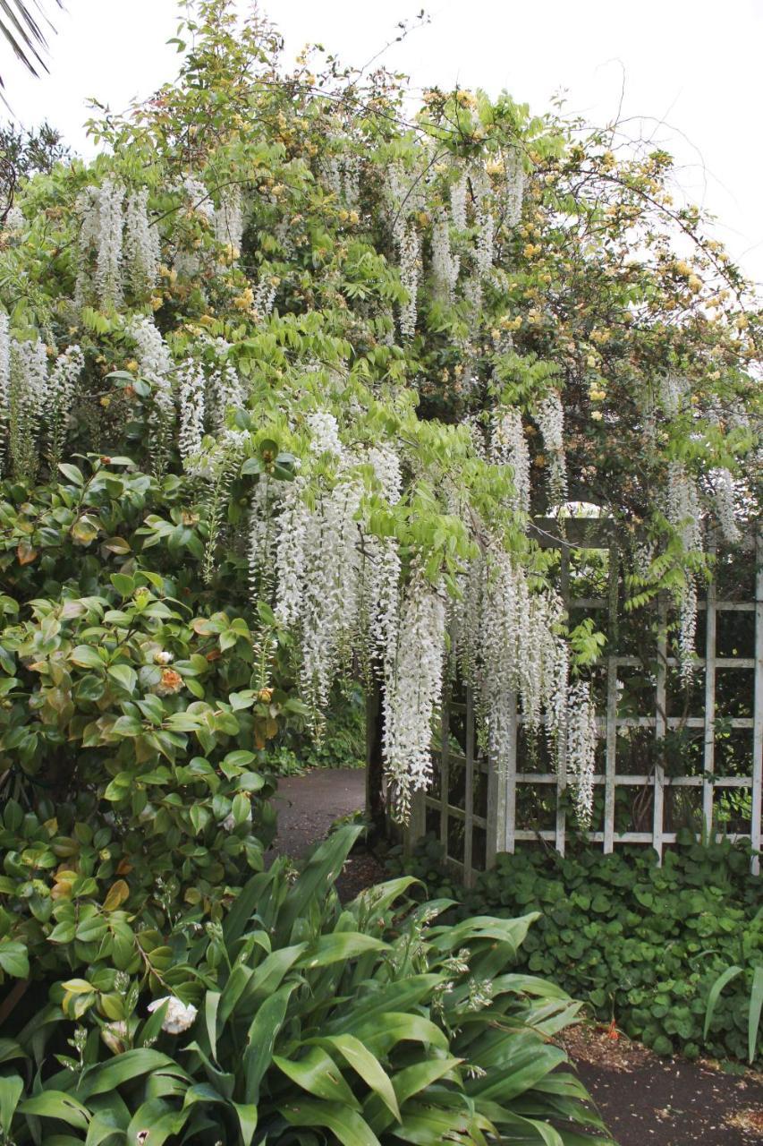 Browns Boutique Bed&Breakfast Whanganui Extérieur photo