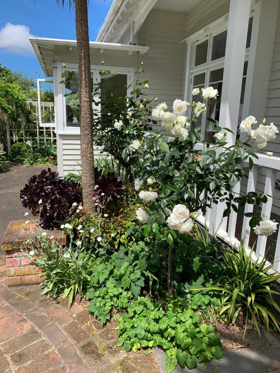 Browns Boutique Bed&Breakfast Whanganui Extérieur photo